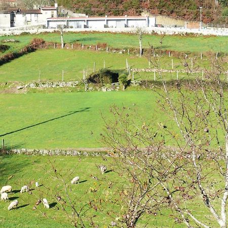 Campo Seco Villa Vieira do Minho Bagian luar foto