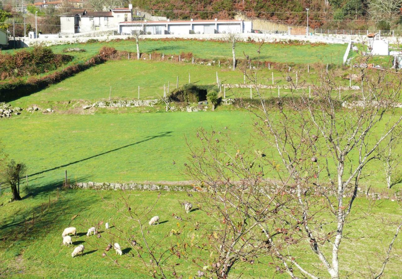 Campo Seco Villa Vieira do Minho Bagian luar foto